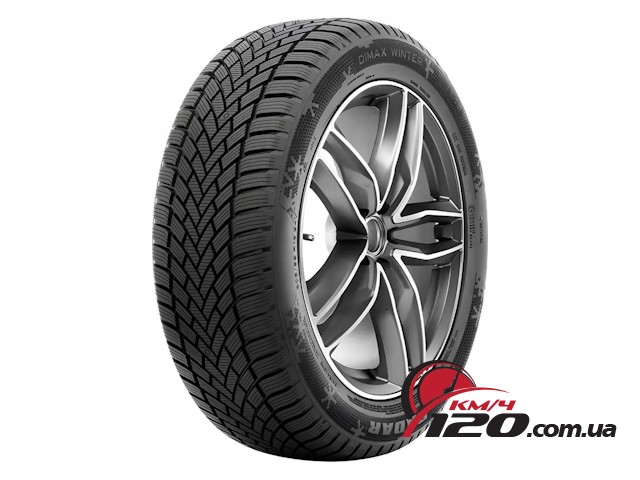 Radar Dimax Winter 225/45 R17