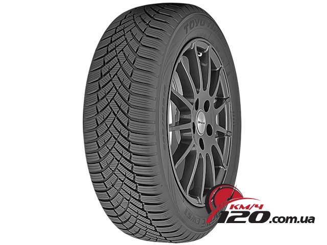 Toyo Observe EWS1 205/55 R16